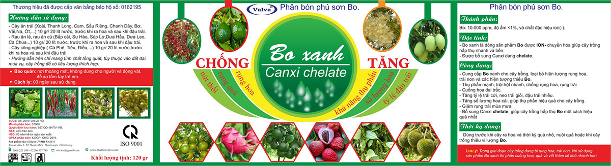 Bo Xanh full
