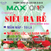 max one