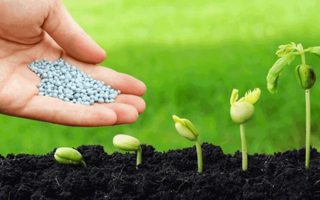 phân bón cây trồng