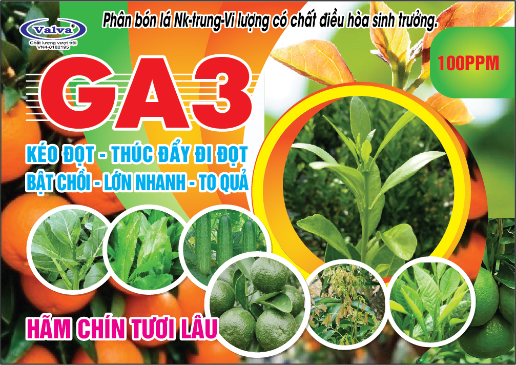 100ppm_GA3t