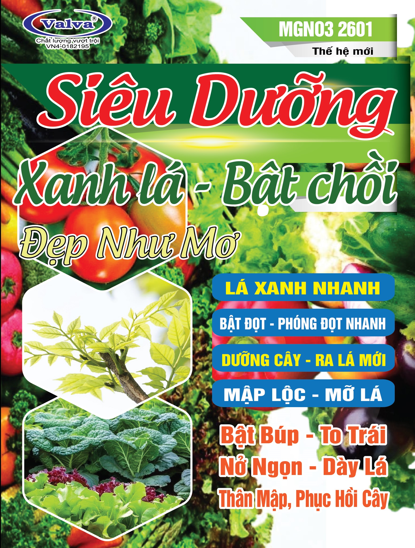 MgNo3 2601_XANH LA BẬT CHỒI - Copy