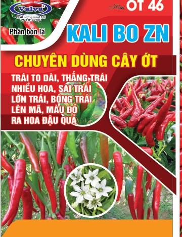 OT 46 ---KALI BO ZN --CHUYÊN ỚT--- 50gr 120 x 170mm-01 - Copy