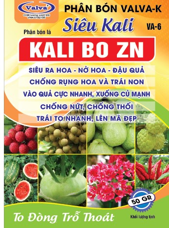 VA - 6 KALI BO ZN - Copy